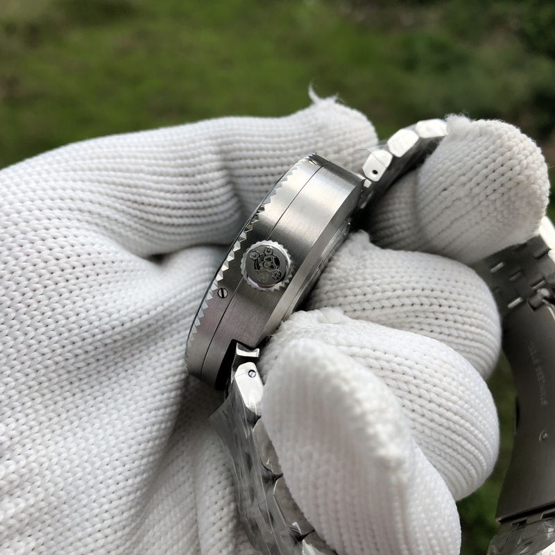 STEELDIVE Mens Automatic Watch - Seiko Watch Prospex 评论和价格